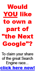 Would You Like to Own Part of 'the Next Google'